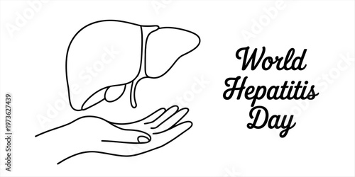 A simple line art illustration depicting a human liver being gently held by an open human hand Vector, illustration
