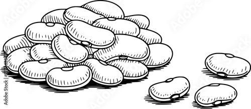 Hand drawn black and white of a pile of dried white beans and scattered beans