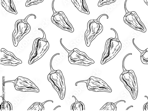 Hand drawn black and white pattern of ghost peppers a white background chili food