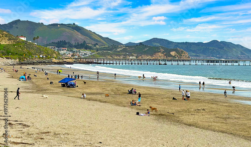 Public beach at Avila Beach, California