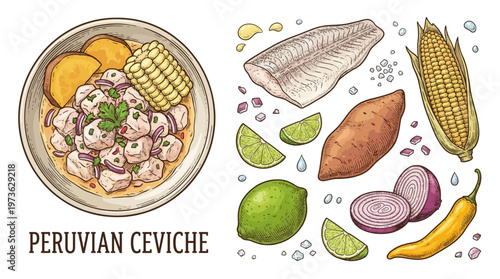 Peruvian Ceviche Traditional Seafood Dish with Ingredients Vector Illustration Sketch Style