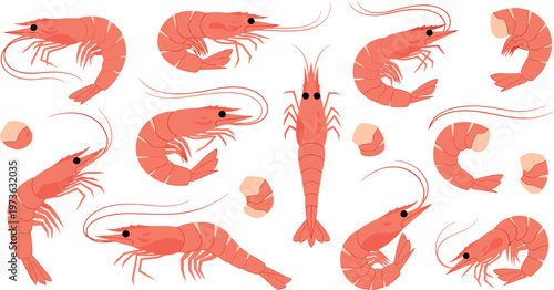 Decorative vector pattern of shrimp and prawns with stylized seafood design elements