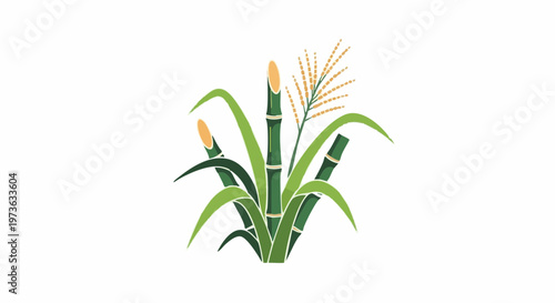 Sugarcane Plant Illustration with Green Stalks and Leaves