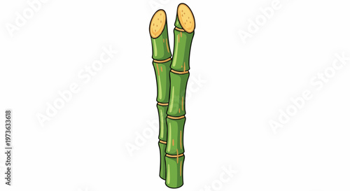 Fresh sugarcane stalks illustration isolated on white background