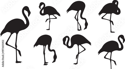 Pink Flamingo Silhouettes Vector Set in Various Poses