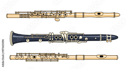 Woodwind musical instruments collection displays two silver flutes and one dark clarinet arranged horizontally against white background.