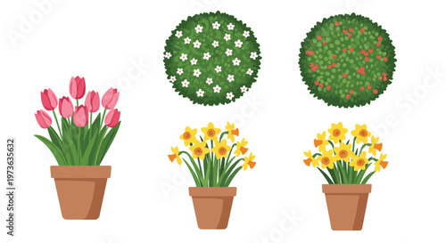 Selection of garden plants in pots includes pink tulips, yellow daffodils, and rounded green bushes for landscape decoration.
