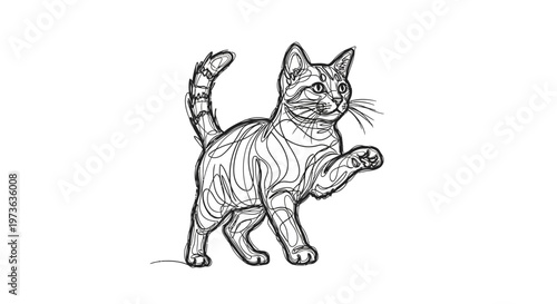 Striped cat lifts its front paw, looking attentive and ready to play.