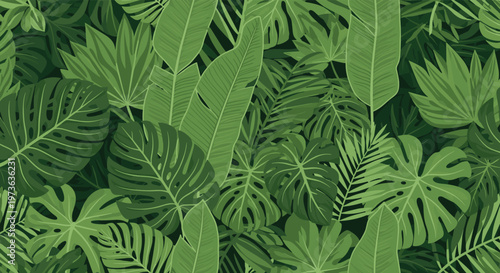 Lush green tropical leaf pattern featuring monstera, palm, and banana leaves in a dense forest theme for jungle background.