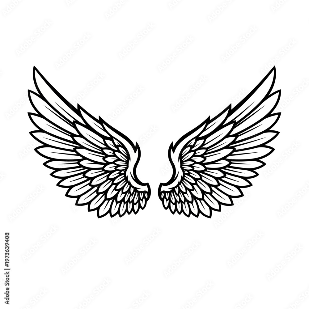 Obraz premium eagle with wings