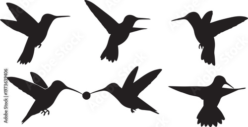 Hummingbird Silhouette Vector Icon Set for Nature and Bird Logo
