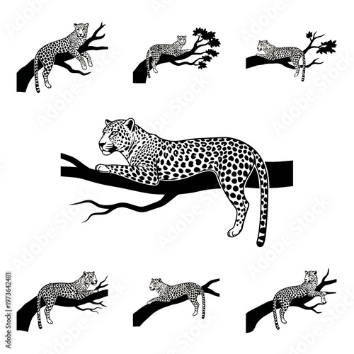 Leopard Silhouettes Climbing and Resting on Tree Branches