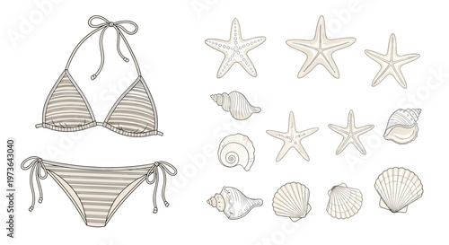 Hand drawn collection of summer beach essentials including a stylish string bikini set and various types of seashells and starfish.
