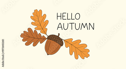 Hello autumn greeting with a detailed illustration of an acorn and oak leaves in warm seasonal colors on a soft cream colored background.