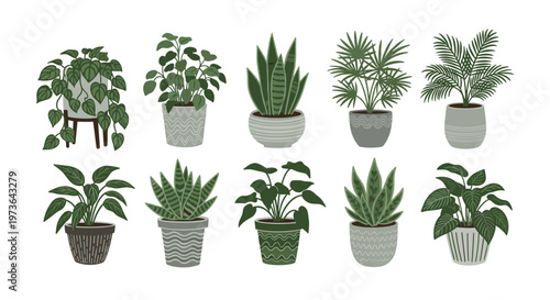 Large set of various indoor house plants in decorative pots including snake plant, palm, and pothos for home interior design and decor concepts.