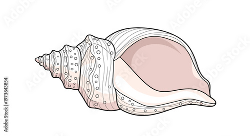 Realistic and detailed illustration of a large ocean conch seashell displaying its beautiful spiraling shape and smooth pink interior.