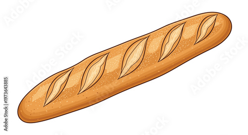 Long crusty French baguette bread isolated on white background, suitable for bakery shop menus, sandwich cafes, and morning breakfast themes.