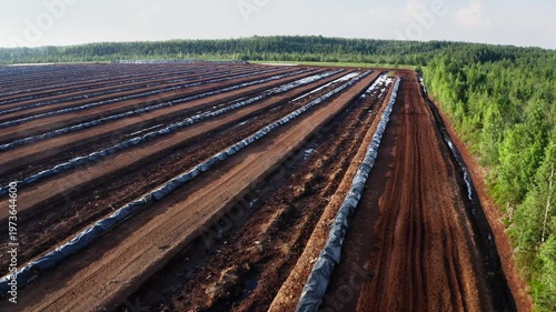Skyward Peat Rows, Plasticcovered Peat Mounds Aligned Under Bright Sun, Parallel Peat Ridges With Reflective Furrows Under Open Sky And Forest Edge