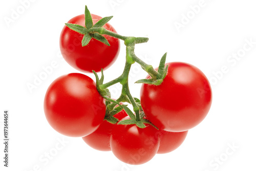 A branch of red ripe tomatoes