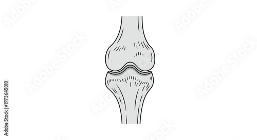 Simplified grayscale line drawing of a human knee joint featuring femur and tibia bones meeting at the articular surface in a clean minimalist vector style.