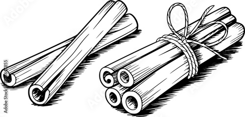 Hand drawn of cinnamon sticks tied with twine a white background spice ingredient