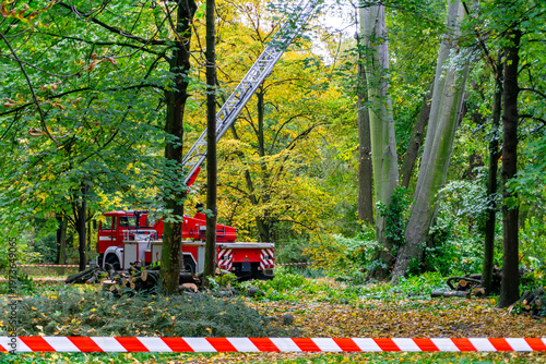 Картината върху платно Fire truck with extended ladder during tree cutting in autumn park, firefighters