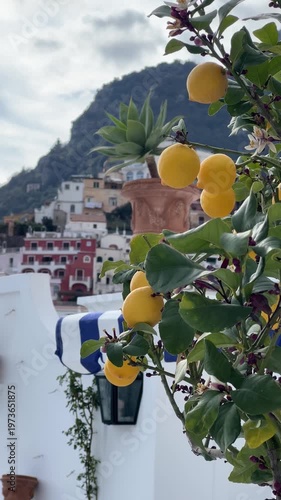 Bright lemons on a tree in Positano with colorful hillside houses and Mediterranean scenery, capturing sunny Italian coastal charm and fresh vibrant atmosphere.