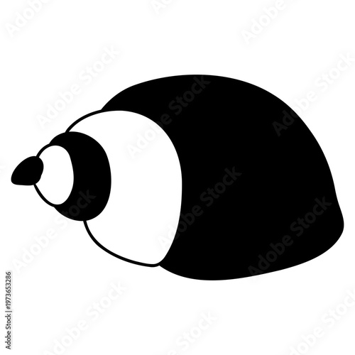 Marine gastropod mollusc