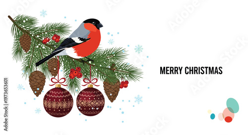 Beautiful bullfinch bird perched on a snowy pine branch decorated with red Christmas ornaments and berries on a white background scene.