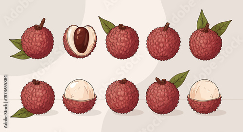 Fresh Lychee Fruits Collection: Whole, Halved, and Sliced with Leaves