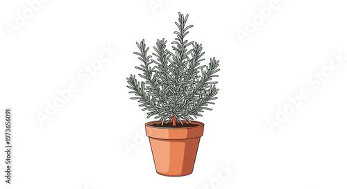 Detailed illustration of a green rosemary herb growing in a classic terracotta clay pot against a white background.