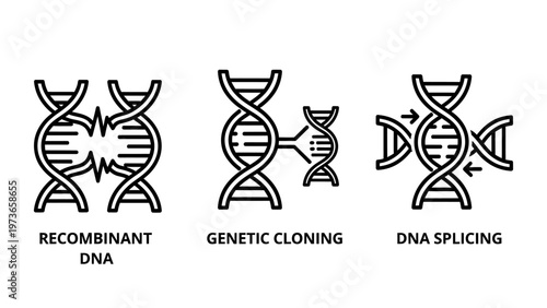 Genetic research and DNA manipulation concept icons for cloning and molecular splicing