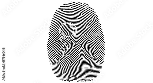 Fingerprint detailed with intricate black lines and swirls featuring biometric, identification, security with pattern and white elements for