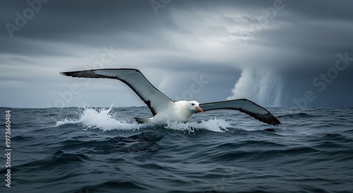 Graceful whale breaching the surface of the ocean under cloudy skies