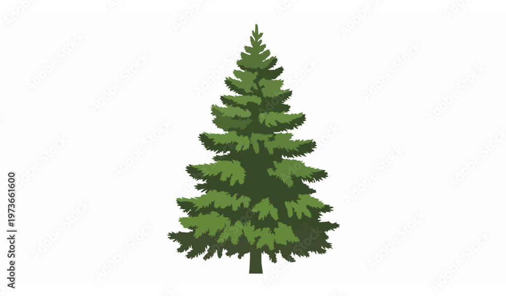 Fototapeta premium Single pine fir spruce conifer tree side view vector isolated on white background