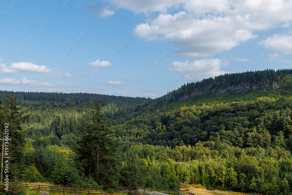 Naklejka premium Ruins of Hafna Lead mine Gwydir Forest Betws Y Coed