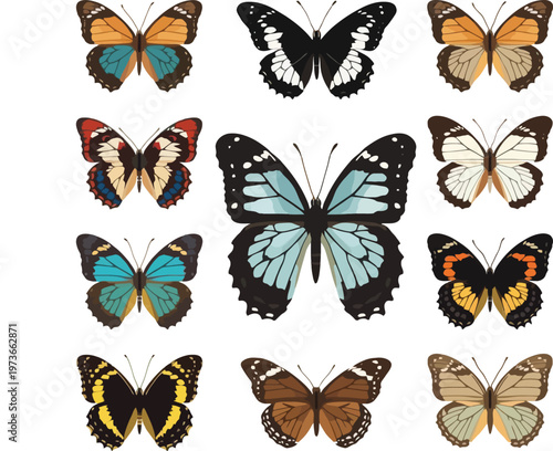 Diverse Butterfly Species Collection Vector Illustration