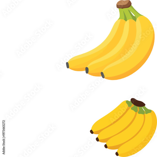 Fresh Banana Fruit Cluster Vector Illustration