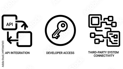 Api integration developer access and system connectivity icons