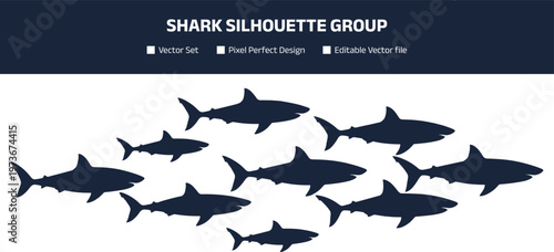 Shark silhouette group featuring multiple marine predators swimming together, ocean wildlife vector illustration set isolated on white background