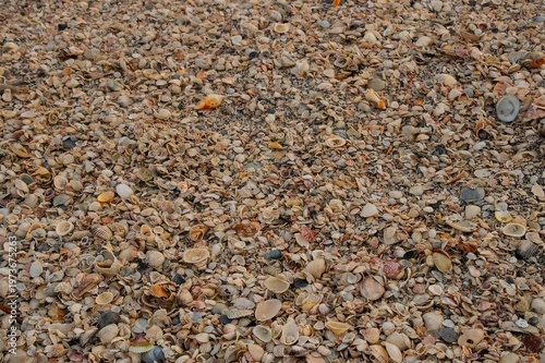 Fotografia pebbles on the sand
