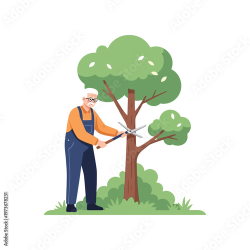 Elderly man pruning tree with large shears in flat illustration for gardening