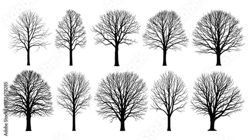 Comprehensive collection of ten black silhouettes of deciduous trees without leaves, representing winter nature and diverse forest variety.