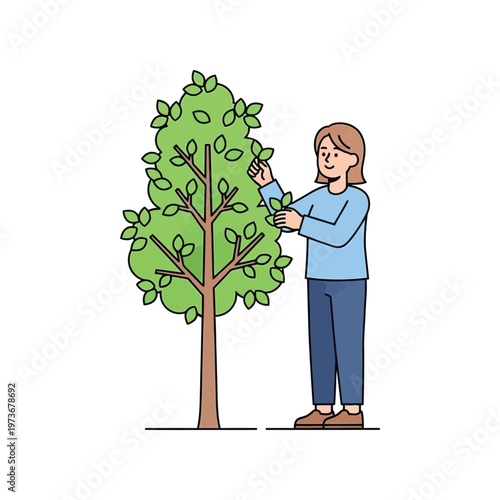 Woman pruning tree in flat illustration style with green and brown colors in simple line art format for gardening or landscaping use