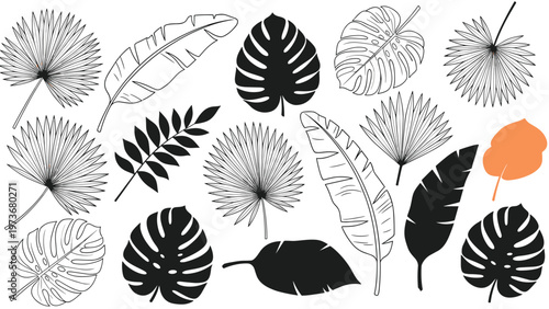 Large collection of tropical leaf silhouettes and line drawings including monstera and palm fronds with one orange leaf.