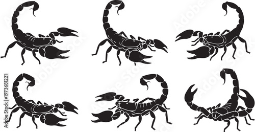 Black Scorpion Silhouette Set, Dangerous Desert Arachnid Icons