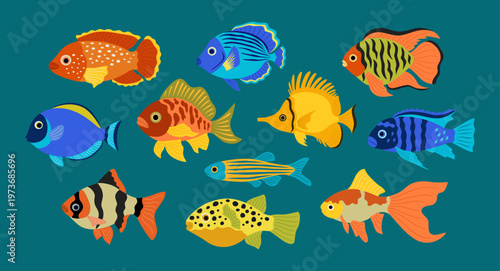 Set of colored aquarium fish. Tropical exotic underwater animals. Cute sea and ocean creatures. Hand drawn vector illustration isolated on blue background, modern flat cartoon style.