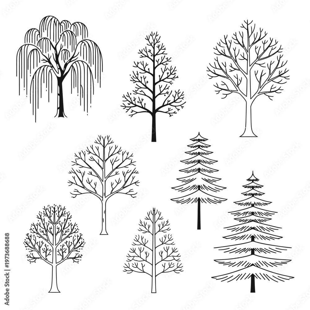 Fototapeta premium tree illustrations line art vector set showing various bare deciduous and evergreen pine trees with a weeping willow perfect for nature designs.
