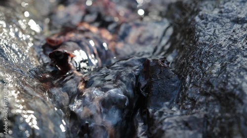 Stockholm, Sweden A detail of running water in a stream.  