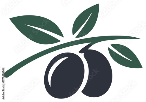 Stylized olive branch with dark fruit and green leaves a healthy food icon
